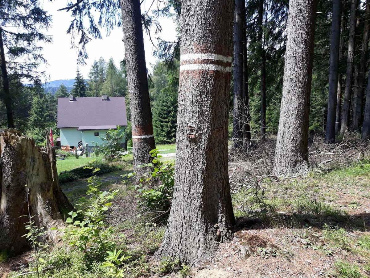 Chata Lipno Lipno nad Vltavou Bagian luar foto